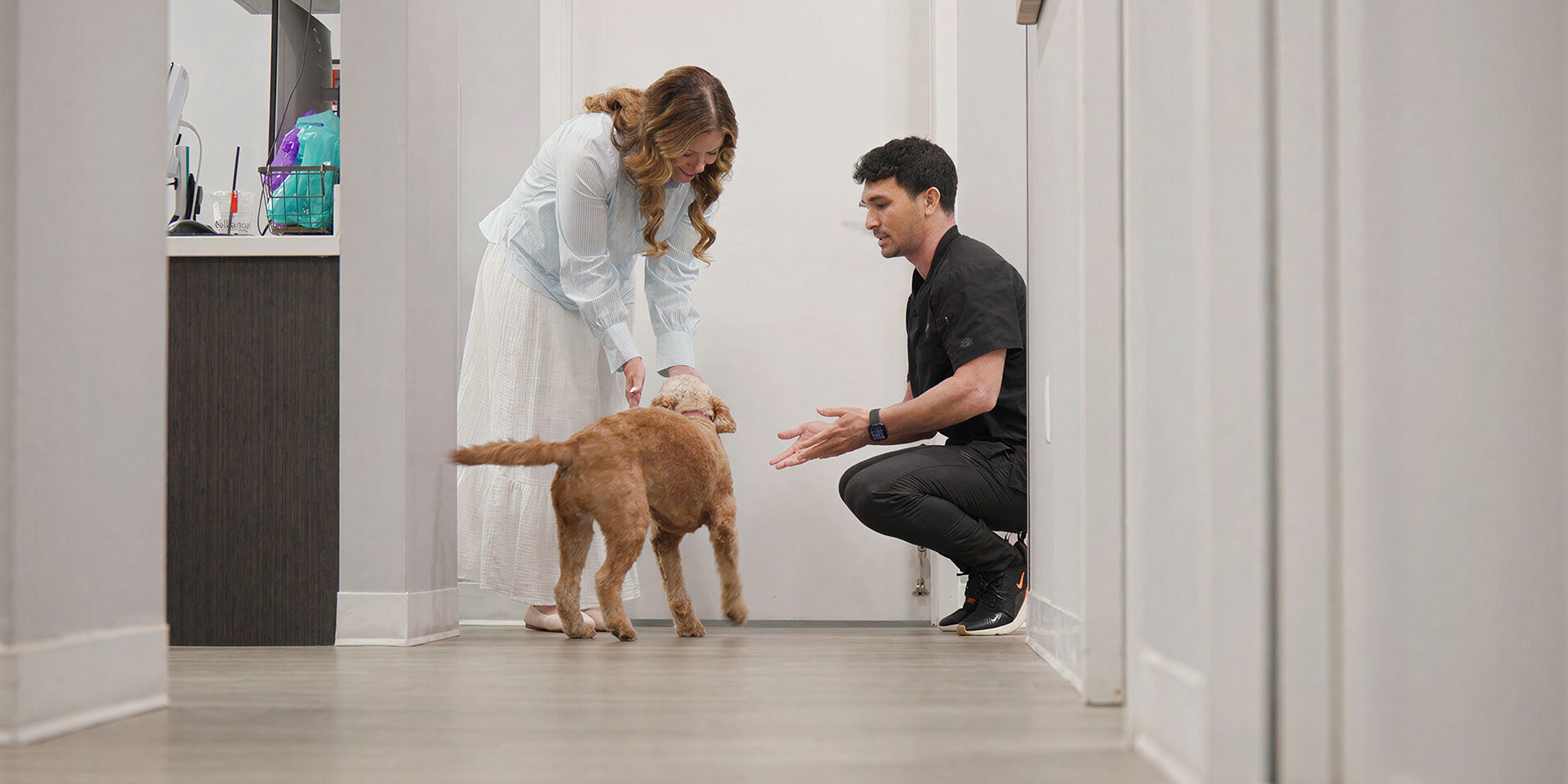 Comfort Dentistry Greater Jacksonville Florida