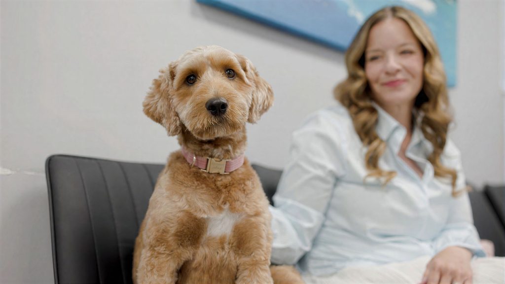 Office Dog Greater Jacksonville Fl Comfort Dentistry